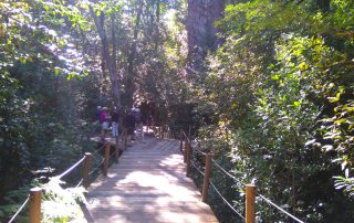 Garden Route – Tsitsikama 2 Home