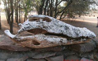 HP DIGITAL CAMERA Home