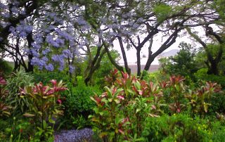 Zimbabwe – Ruins Home