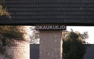 NAMIBIA Etosha-31 Home